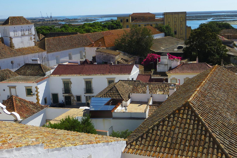 Best of Faro: Private Walking Tour with a Local Private City Walking Tour - 3Hr