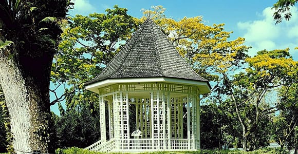 Singapore: Discover UNESCO Botanic Garden gems, rare orchids