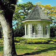 Singapore: Discover UNESCO Botanic Garden gems, rare orchids