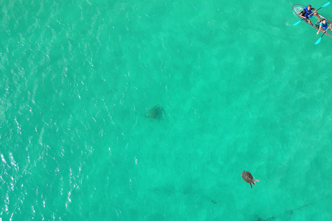 Santa Maria Clear Kayak Tour with Guide