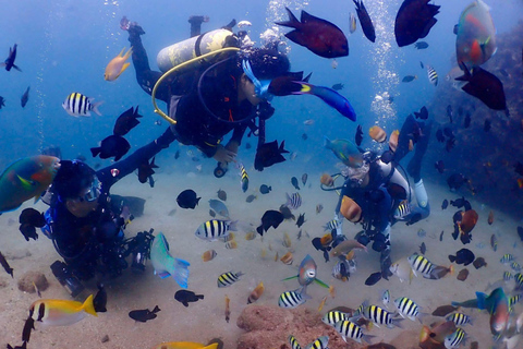 From Manila: Beginner's Scuba Diving Experience