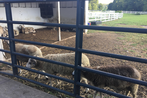 Desde NY: Tour a Filadelfia, Campana de la libertad y Comunidad MenonitaTour en Español