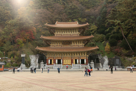 Danyang Tour: Guinsa Tempel &amp; Bobaljae &amp; Cheongpung KabelbaanVertrek vanaf Myeongdong Station Exit 3