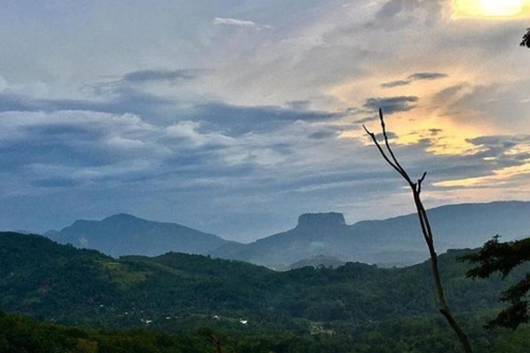 Kandy: Visita a la ciudad con todo incluido