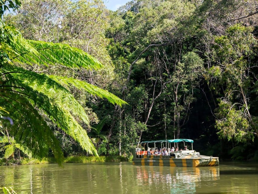 Kuranda; Selva tropical, mariposas, crucero en barco y aborígenes - Hizvo