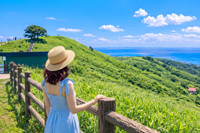 Small Group Day Tour:Omuro Mountain & the Izu Scenic Railway Hotel Transfer Option