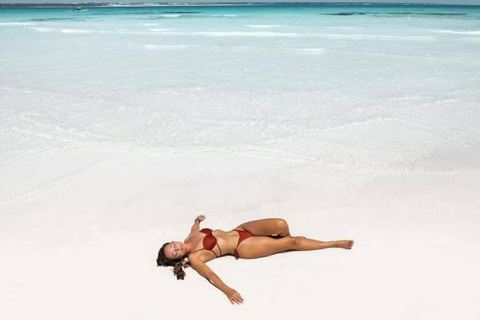 Zanzibar: Prison Island & Nakupenda Sandbank Tour Experience Private Tour for Stone Town Area Guests Only