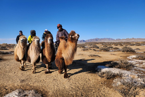 Mongolia: 2-Day Nomadic Life Experience with Local Guide