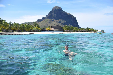 Bateau privé à l&#039;Île aux Bénitiers : Plongée en apnée avec les dauphins et homardBateau privé Île aux Bénitiers : Nage avec les dauphins et homard