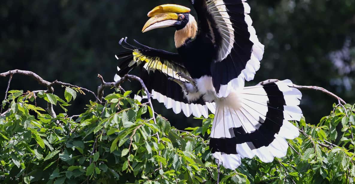 Afbeelding 3 van Alphen aan den Rijn: Avifauna Vogelpark Entree Ticket