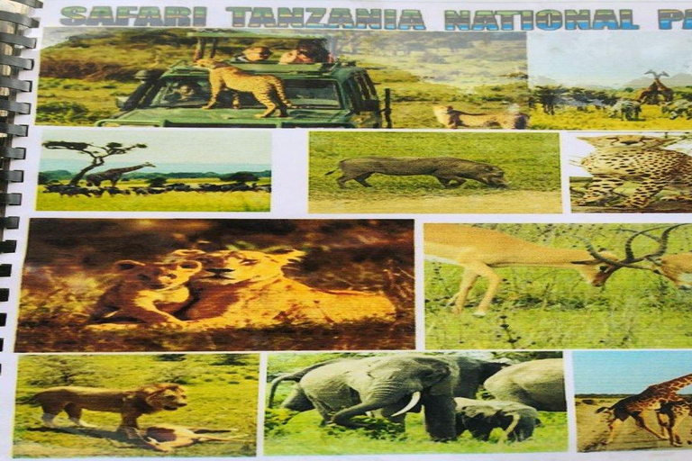 Big Five Safari Tour : des observations animales inoubliables en Tanzanie&quot;.