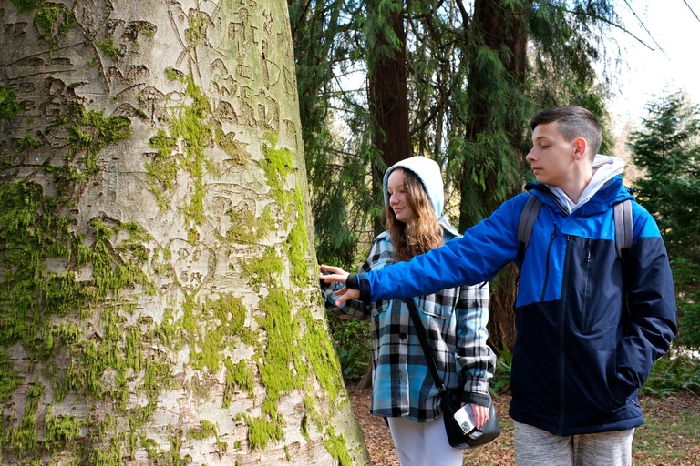 Gastown Discovery: A Family Tour Through Vancouver’s Heart