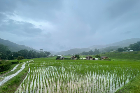 Chiang Mai: Doi Inthanon National Park 1 Day(Hotel Transfer) Chiang Mai: Doi Inthanon National Park Day Trip Included Fee
