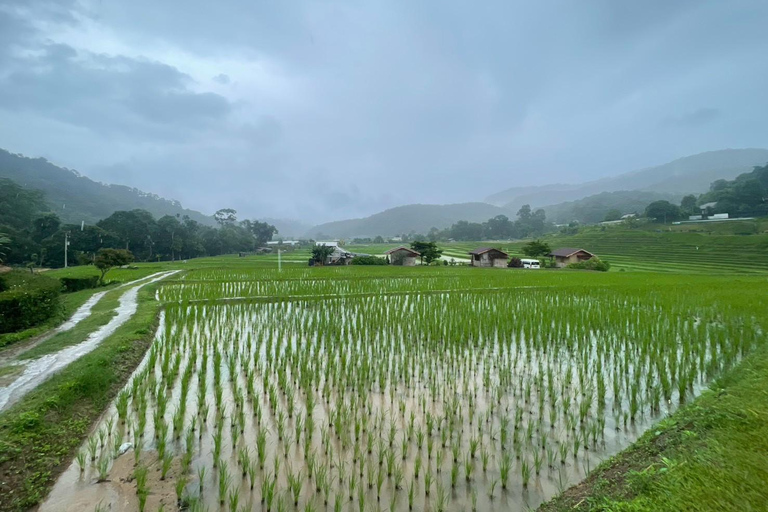Chiang Mai: Doi Inthanon National Park 1 Day(Hotel Transfer) Chiang Mai: Doi Inthanon National Park Day Trip Included Fee