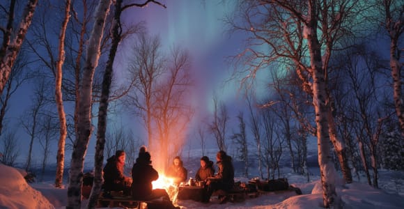 Abisko: Aurora Night & Swedish Glögg - Snowshoe Experience