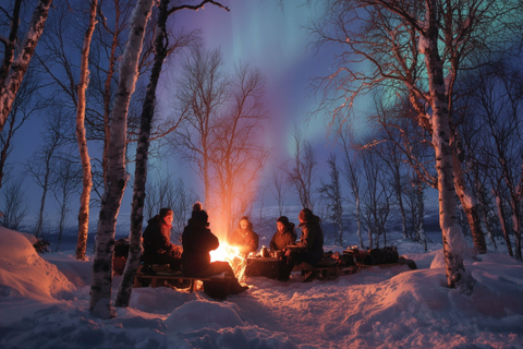 Abisko: Aurora Night & Swedish Glögg - Snowshoe Experience
