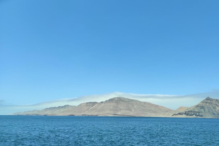 Lima: Tour a Isla Palomino Aventura Marina