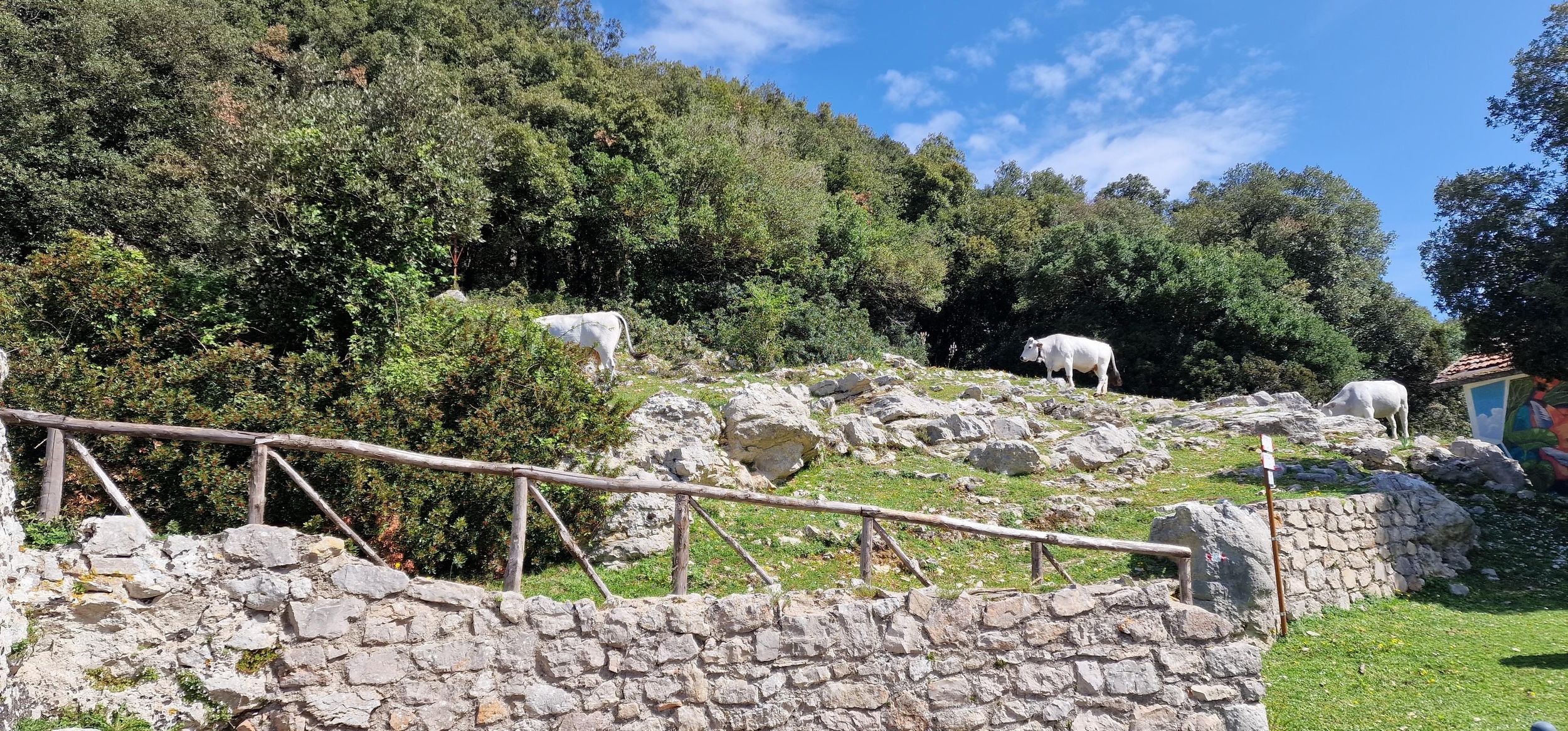 Terracina: Kochkurs für frische Pasta und Verkostung im Wald