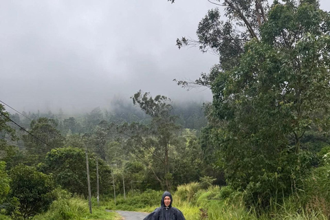 Kandy: Sir James Taylor’s Loolkandura Tea Heritage Hike