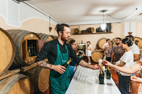 Florence : visite des vignobles du Chianti avec dégustationVisite en groupe en anglais