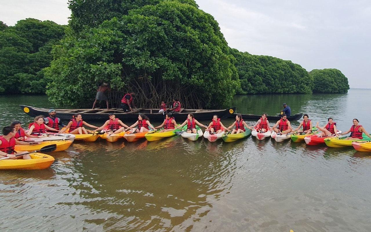 Kajaktour im Mangroven-Backwater von Varkala ab Trivandrum