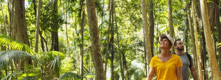 Gold Coast : excursion d'une journée autour du vin, des distilleries et de la forêt tropicale