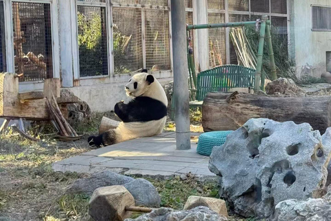 Beijing: Mutianyu Great Wall and Panda House Private Tour Private Day Tour without Tour Guide