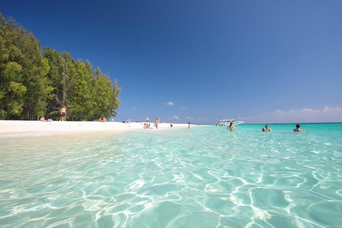 From Phi Phi: Private Luxury Longtail Boat Charter 4 Hours Private Luxury Longtail Boat Charter 4 Hours