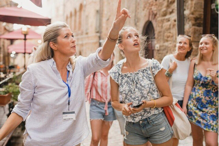 Venice: Dorsoduro Guided Walking Tour Group Tour