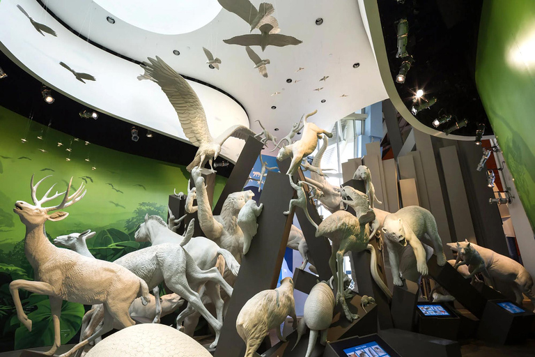 From Panama City: Biomuseo Museum, Mirador del Américas Viewpoint, and Mi Pueblito From Panama City: Biomuseo Museum, Mirador del Américas, and Mi Pueblito