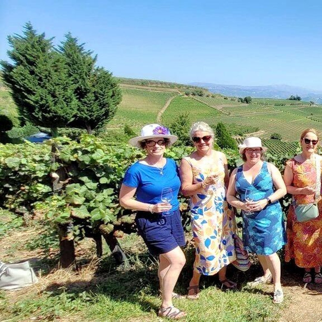 Valle del Duero: tour por 3 bodegas con degustaciones y almuerzo