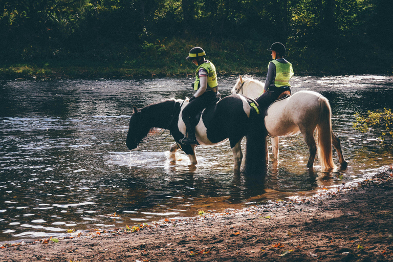 Goyave: Jungle & River Horseback Riding Adventure
