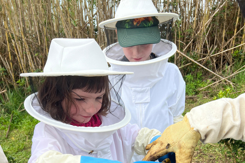 Ponta Delgada: Visita guidata all'apiario