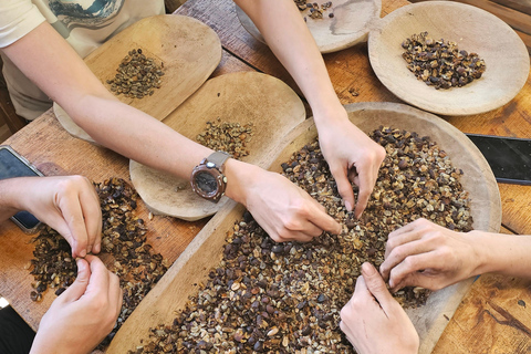 Ancestral Coffee Experience:Become a Coffee Farmer for a Day