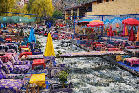 Marrakech: Ourika Valley, Waterfalls Private Trip with Lunch