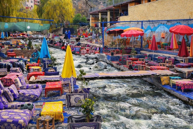 Marrakech: Ourika Valley, Waterfalls Private Trip with Lunch
