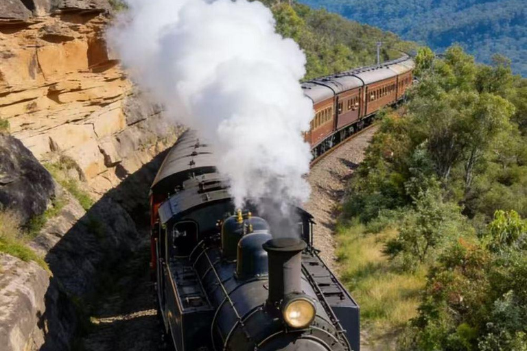 Sydney: Blue Mountains Steam Train Mercedes Sprinter Tour
