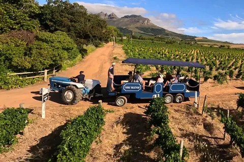 Le Cap : visite à arrêts multiples du vin de Stellenbosch en tracteur