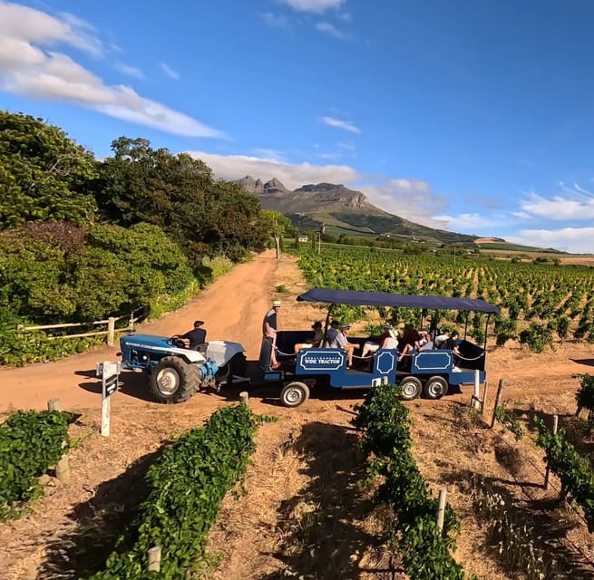 Stellenbosch wine tractor: hop on hop off wine tasting tour | GetYourGuide