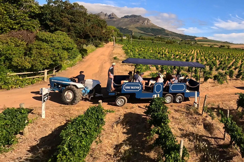 Kapstaden: Stellenbosch Sightseeing med hop-on hop-off Tractor Wine Tour