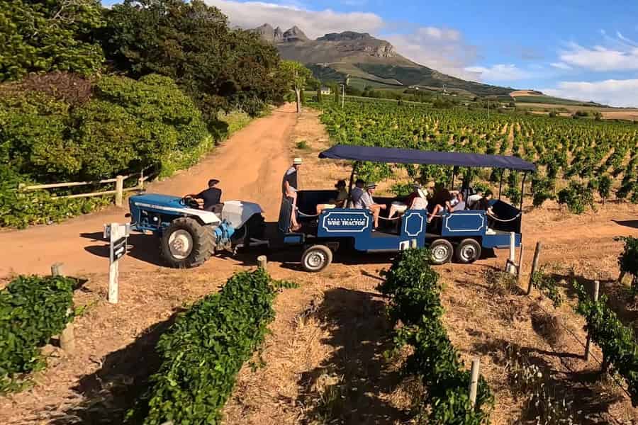 Kapstadt: Stellenbosch Hop-On/Hop-Off-Tractor Wine Tour. Foto: GetYourGuide Kapstadt: Stellenbosch Hop-On/Hop-Off-Tractor Wine Tour. Foto: GetYourGuide
