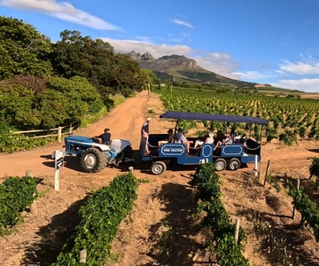 Cape Town: Stellenbosch Hop-On Hop-Off Tractor Wine Tour