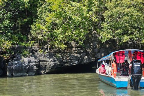 Langkawi: 3-Hour Shared Kilim Geoforest Mangrove Boat Tour