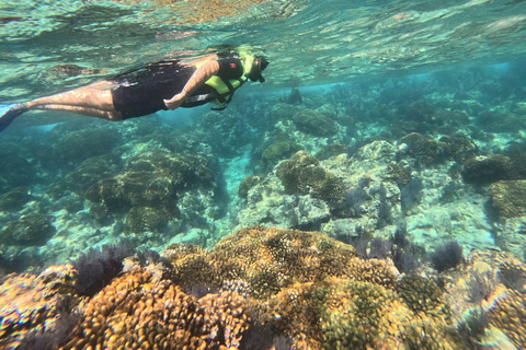 La Paz: Espiritu Santo Island Sea Lion Snorkeling