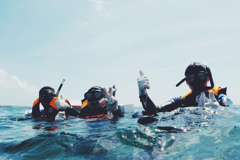 Djerba: Entdecke das Tauchen mit einem TauchlehrerDjerba: Schnuppertauchen mit einem Tauchlehrer