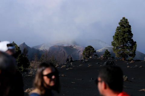 Tajogaite Volcano, the Essential Route: 3-Mile (5-Kilometer) Short Version