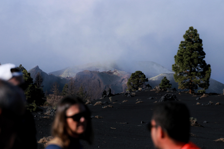 Tajogaite Volcano, the Essential Route: 3-Mile (5-Kilometer) Short Version