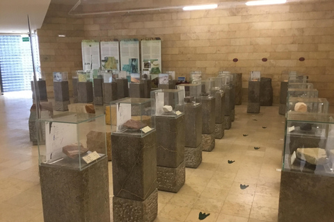 Amman: Ma’in Hot Springs and Dead Sea Panorama