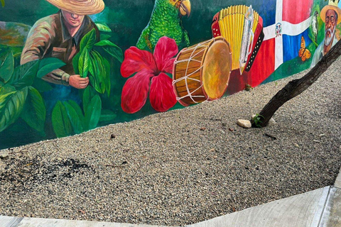 Puerto Plata: stadstour met vlindertuin