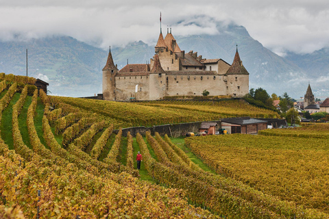 Viaje privado: Interlaken&gt; Castillo de Aigle, Viñedos y Montreux